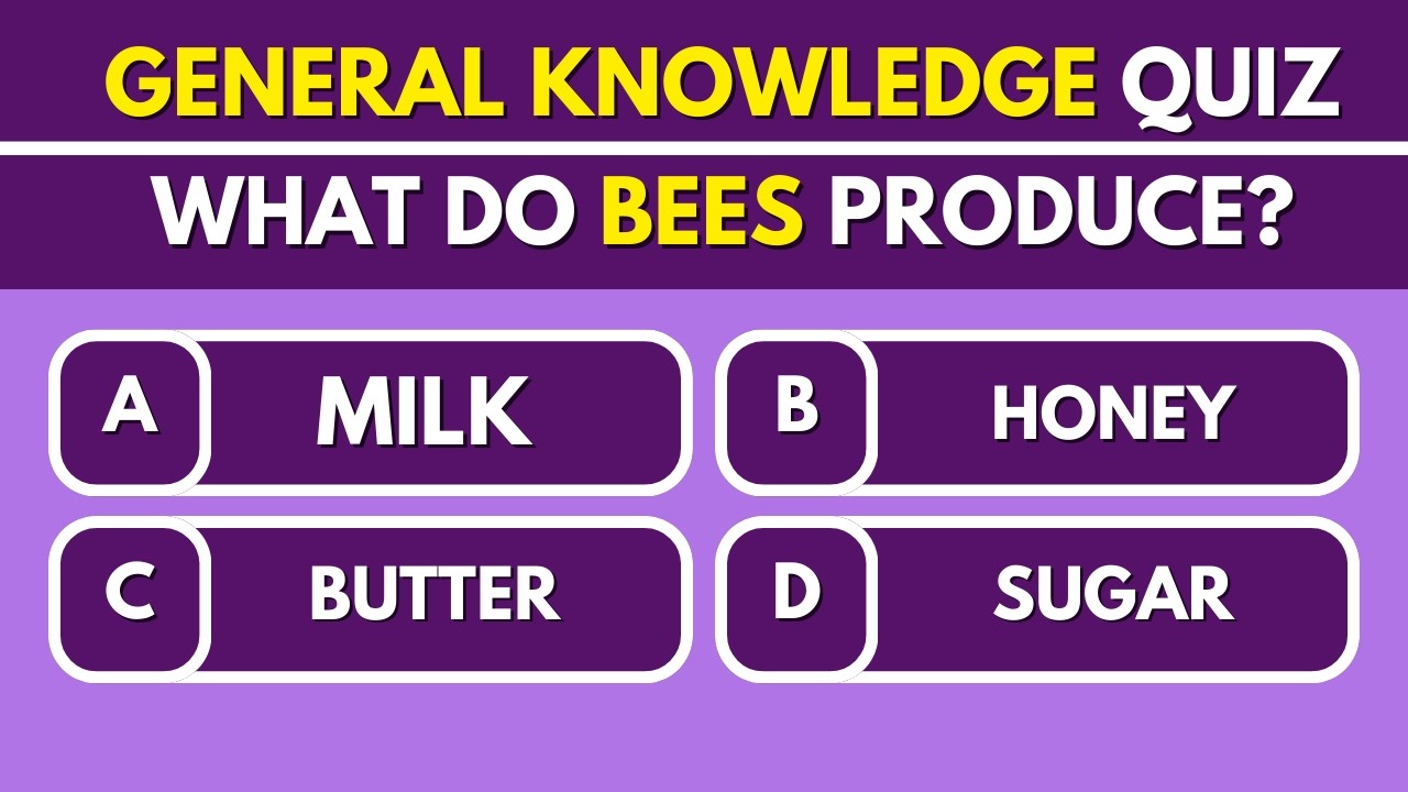 General Knowledge Trivia Quiz |  Everyone Should Know! 