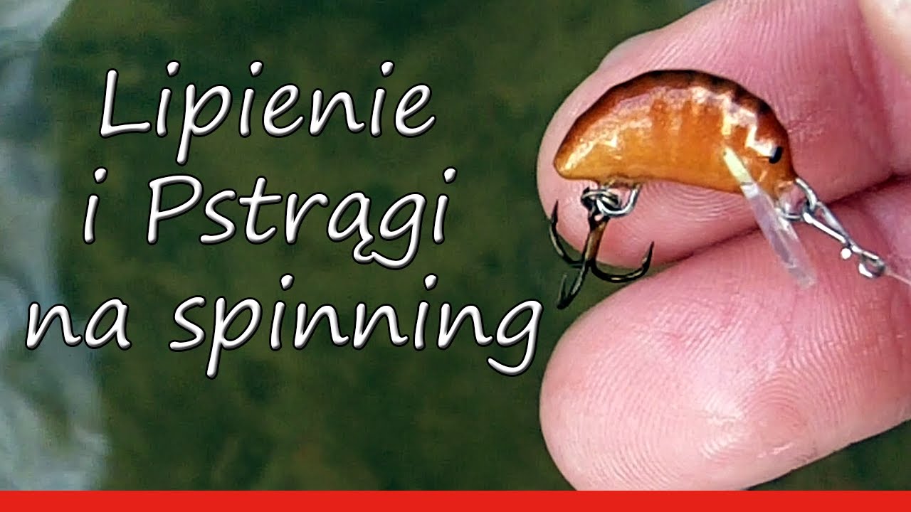 Wędkarstwo. Lipienie i Pstrągi na spinning