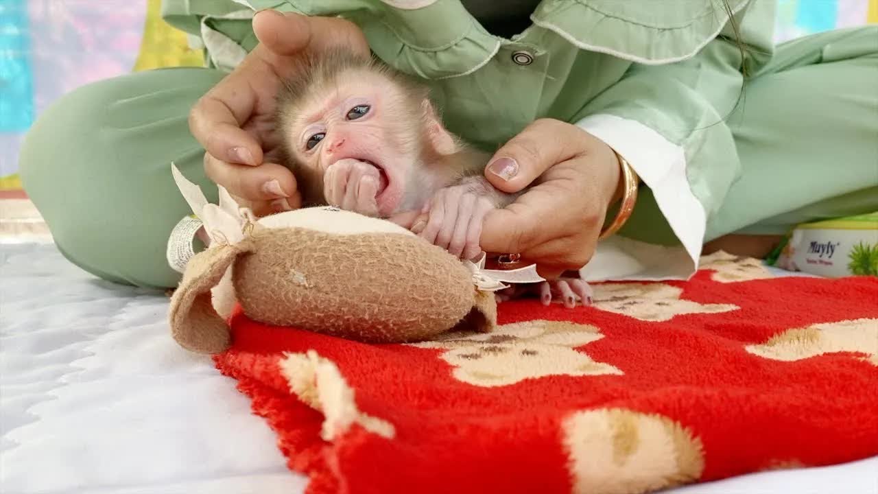 Holy!! Baby Thou Hungry Milk Suckling All Her Finger In Mouth