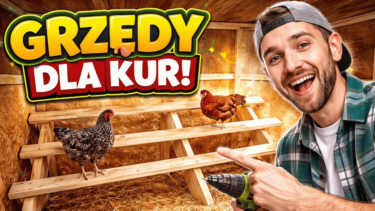 GRZĘDY dla KUR CZ 1