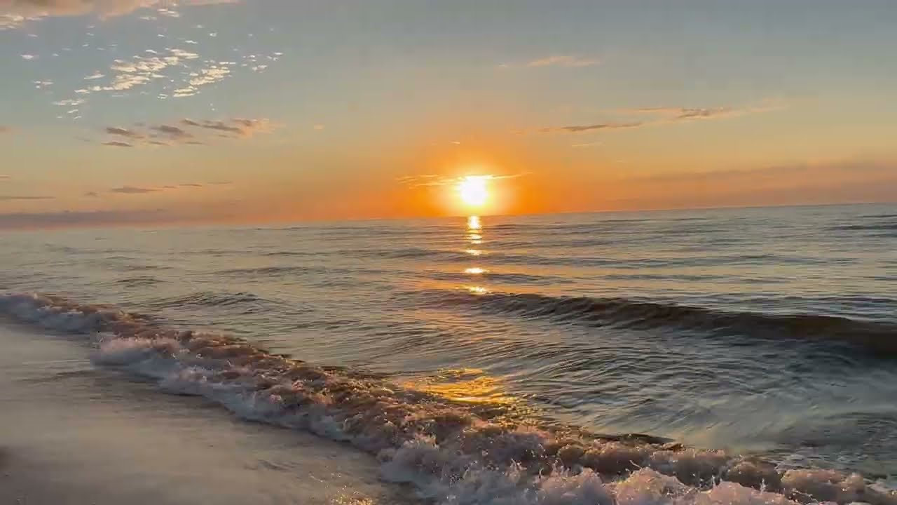 Walk With Me at Sunrise | 15 Minutes of Beach Waves, Shells, and Peace
