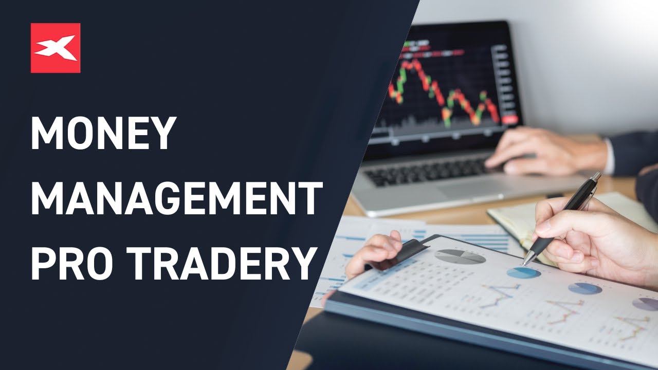 Trading pro začátečníky: Money management