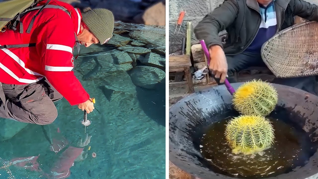 Try Not To Say WOW Challenge! Oddly Satisfying Video that Delights Your Eyes.