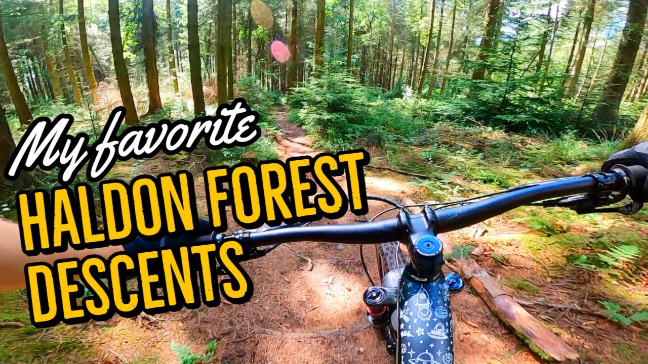 Best Descents in Haldon Forest