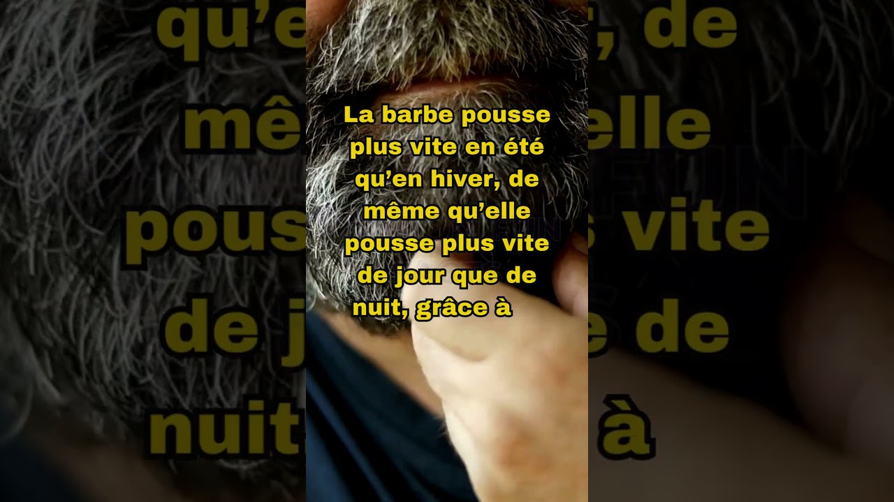3 Fun Facts sur les Barbes 