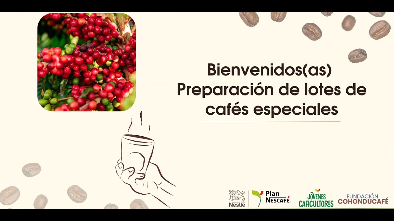 Clase:  Preparación de Lotes de Cafés Especiales