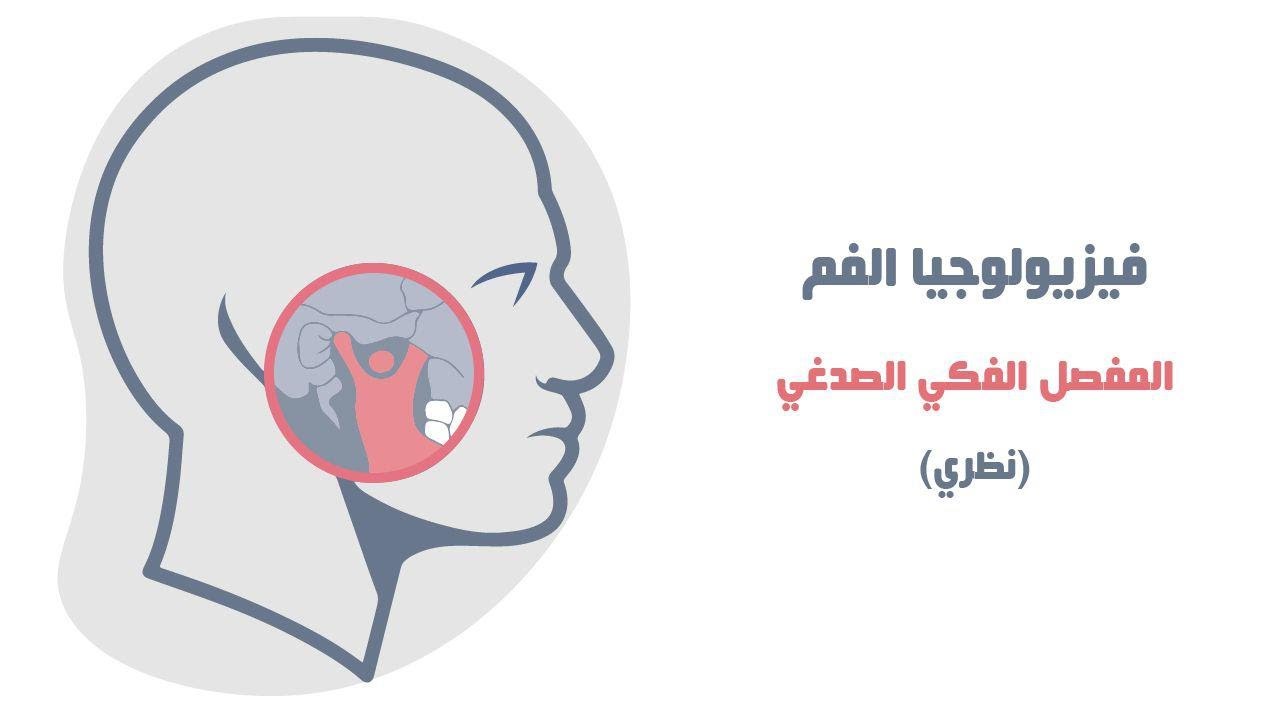 المفصل الفكي الصدغي | Temporomandibular joint | طبيب أسنان استثنائي