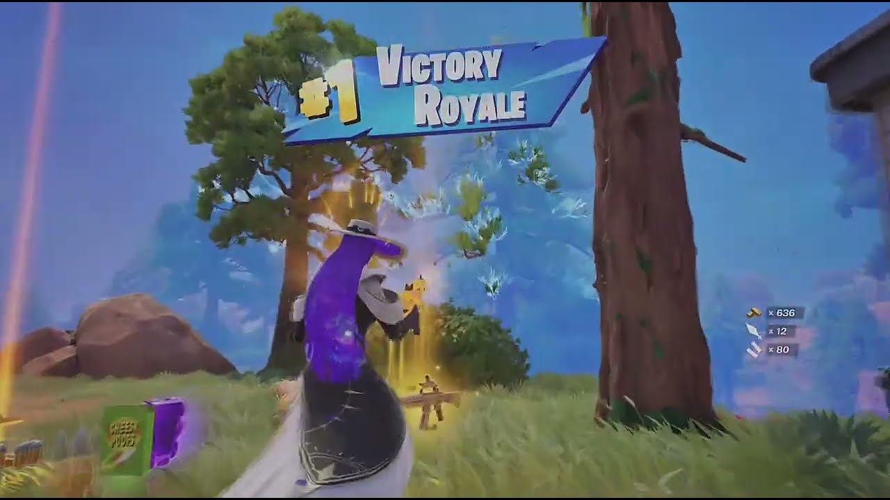Fortnite (NEW DEMISE SKIN) Solo Zero Build Chapter 7 Victory Royale with PS5 Controller 
