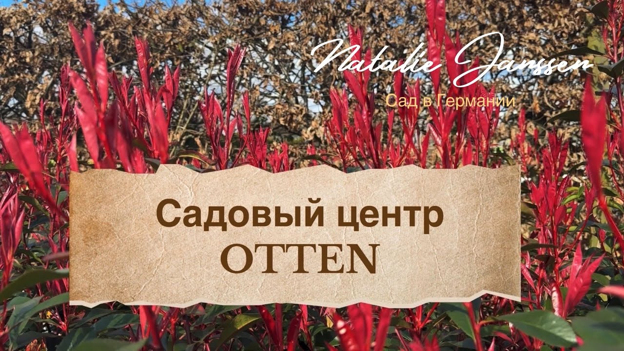 Прогулка по садовому центру OTTEN 🌿 Часть 2.