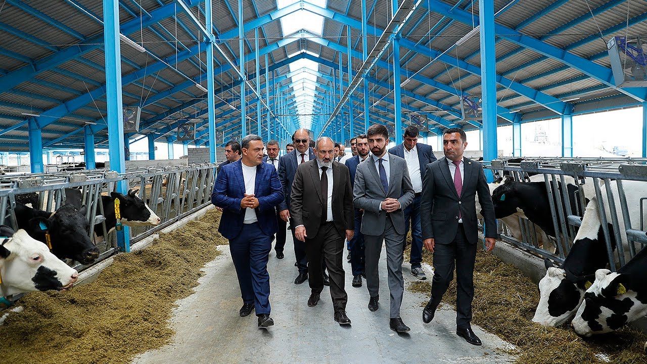 Վարչապետը չնախատեսված կանգառ է ունեցել Նորաշենում եւ այցելել «Երեմյան Ֆարմ» անասնաբուծական համալիր