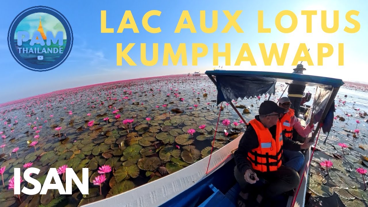 LAC DES LOTUS ROSES : La merveille cachée d'Udon Thani ! 🌸🇹🇭✨
