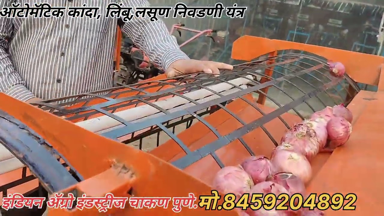 Automatic onion, Garlik, Leamon sorting Machine | कांदा निवडणी यंत्र |#कांदा #farming #onion #shorts