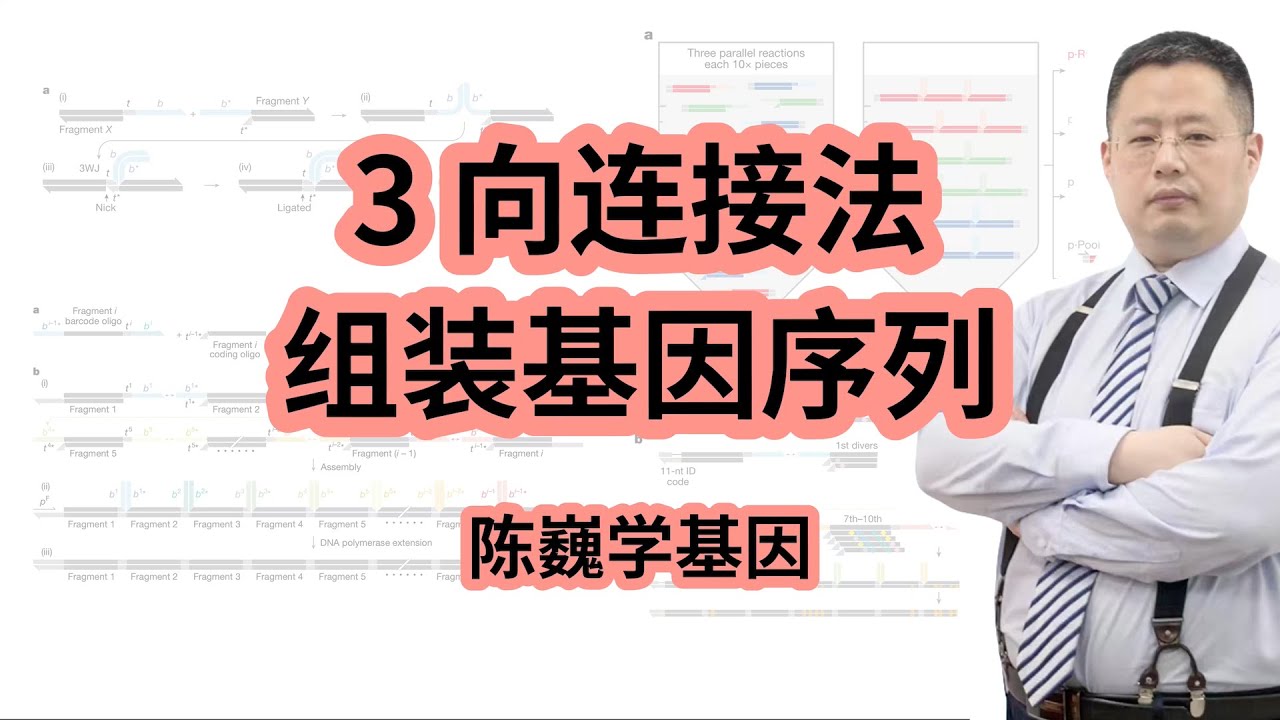 【陈巍学基因】149 期：3 向连接组装基因序列