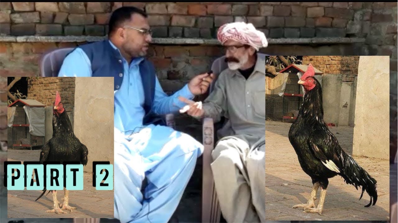 Ustad Safdar JHELUM Part 2, Discussion on King Bingham, per ksppi ang old pits