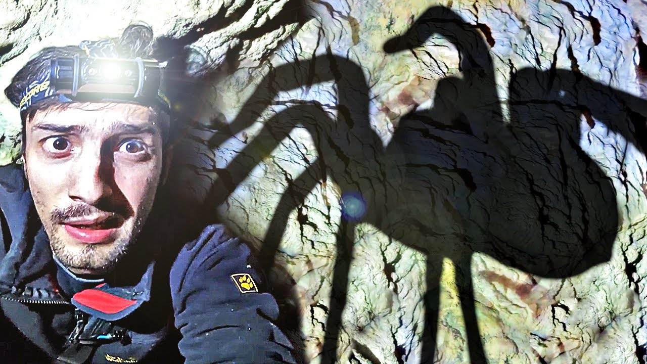 Das passierte in 20 Metern Tiefe!