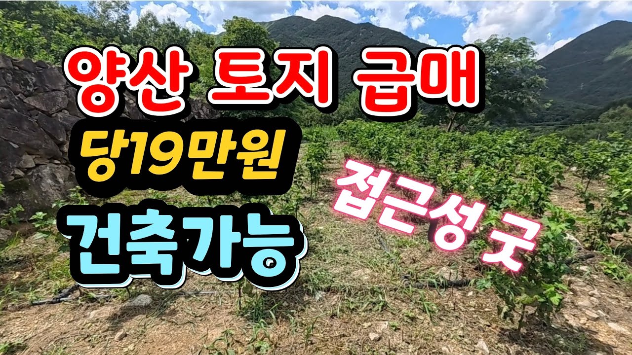 부산 근교 양산 전원주택 부지 토지급매 4,310㎡(1,306평) 2억5천만원(평당19만원) 분할매매 가능