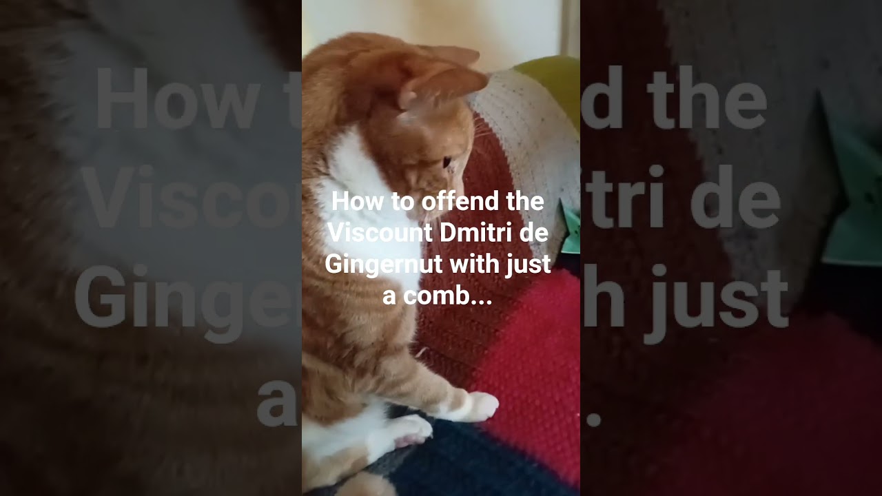 Offending the Viscount Dmitri de Gingernut with just a comb and a fingernail... 