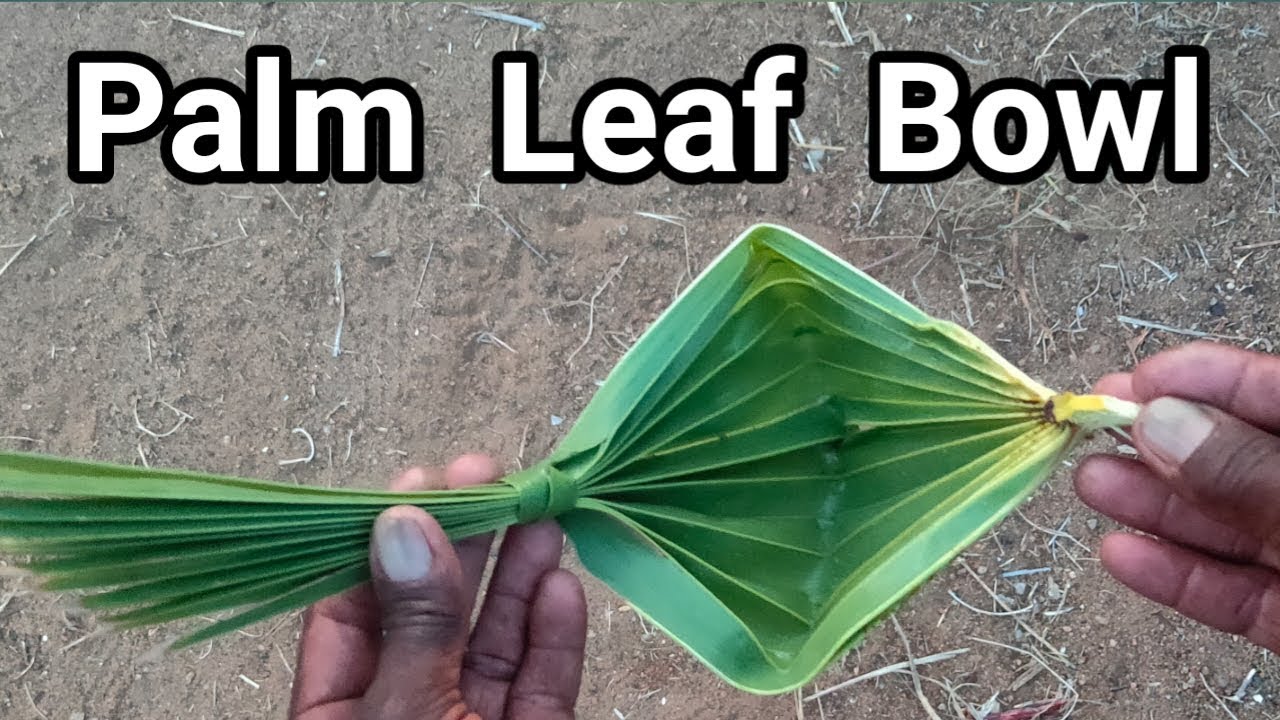 How To Make Palm Leaf Bowl | Eat Food In Palm Leaf Bowl | Palm Leaf Bowl | Village lifeStyle - 1