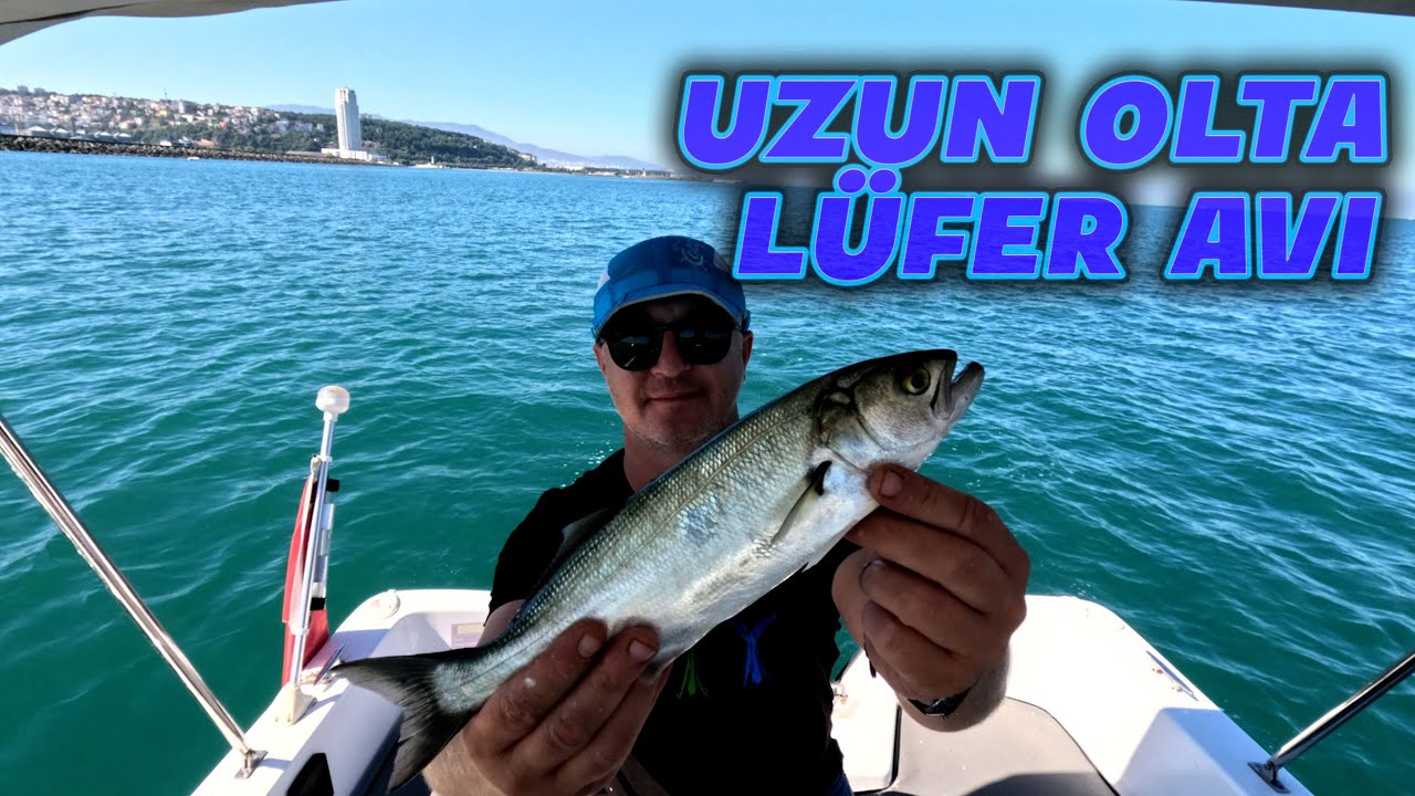 LÜFER AVI - SAMSUN LÜFER AVI - UZUN OLTA AVI