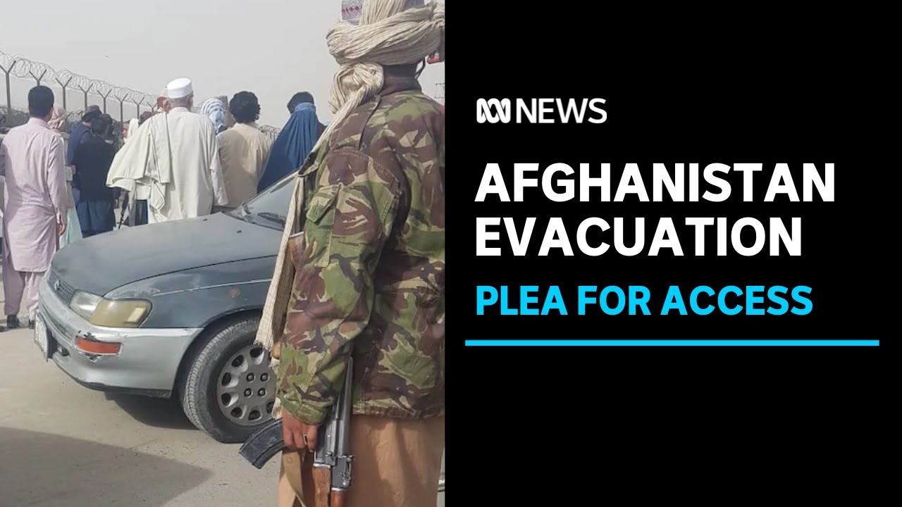 US strikes Afghanistan evacuation deal with Taliban, Afghan Australians plead for same | ABC News