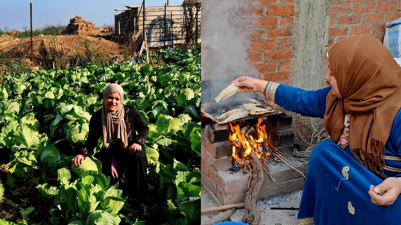 لما بحب أعمل محشى 🥬لازم أروح الجنينة أقطع الكرنب والخضرة بنفسى 🔥وأحلى سمك على الكانون 