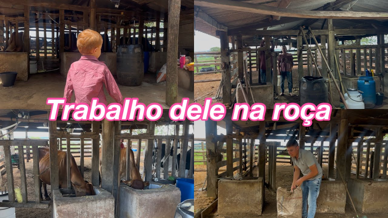 Depois de 100 dias, voltando para a antiga fazenda 🌳🌾🥰