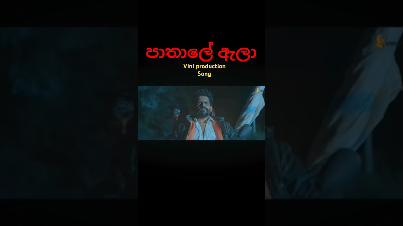 Vini production New song