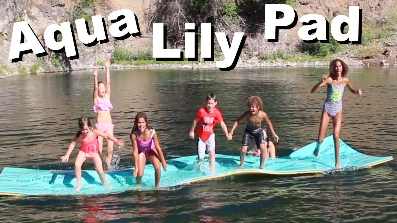 Aqua Lily Pad