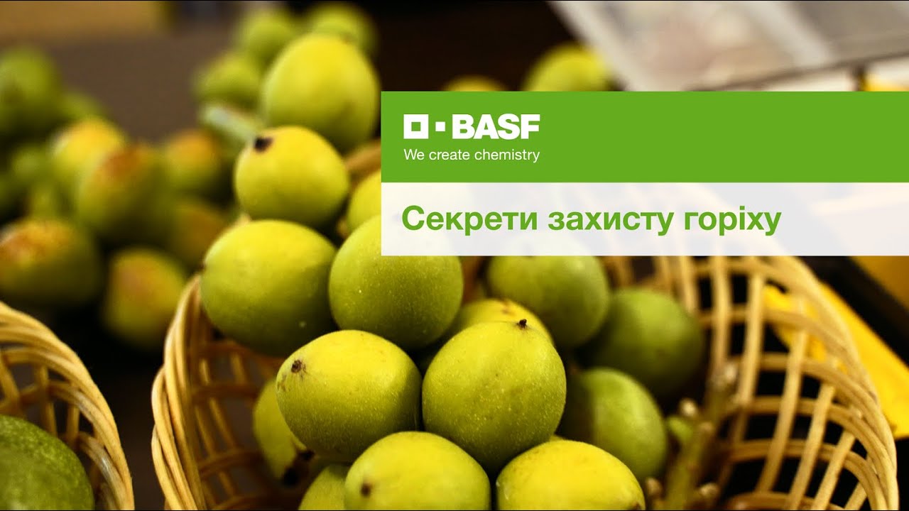 Секрети захисту горіху
