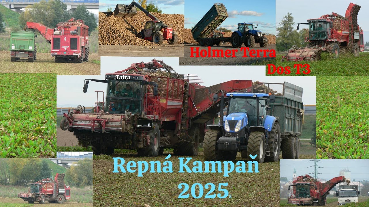 Repná kampaň 2025 / Holmer Terra DoS 3 / John deere 7830 / New Holland T7.310 / Tatra