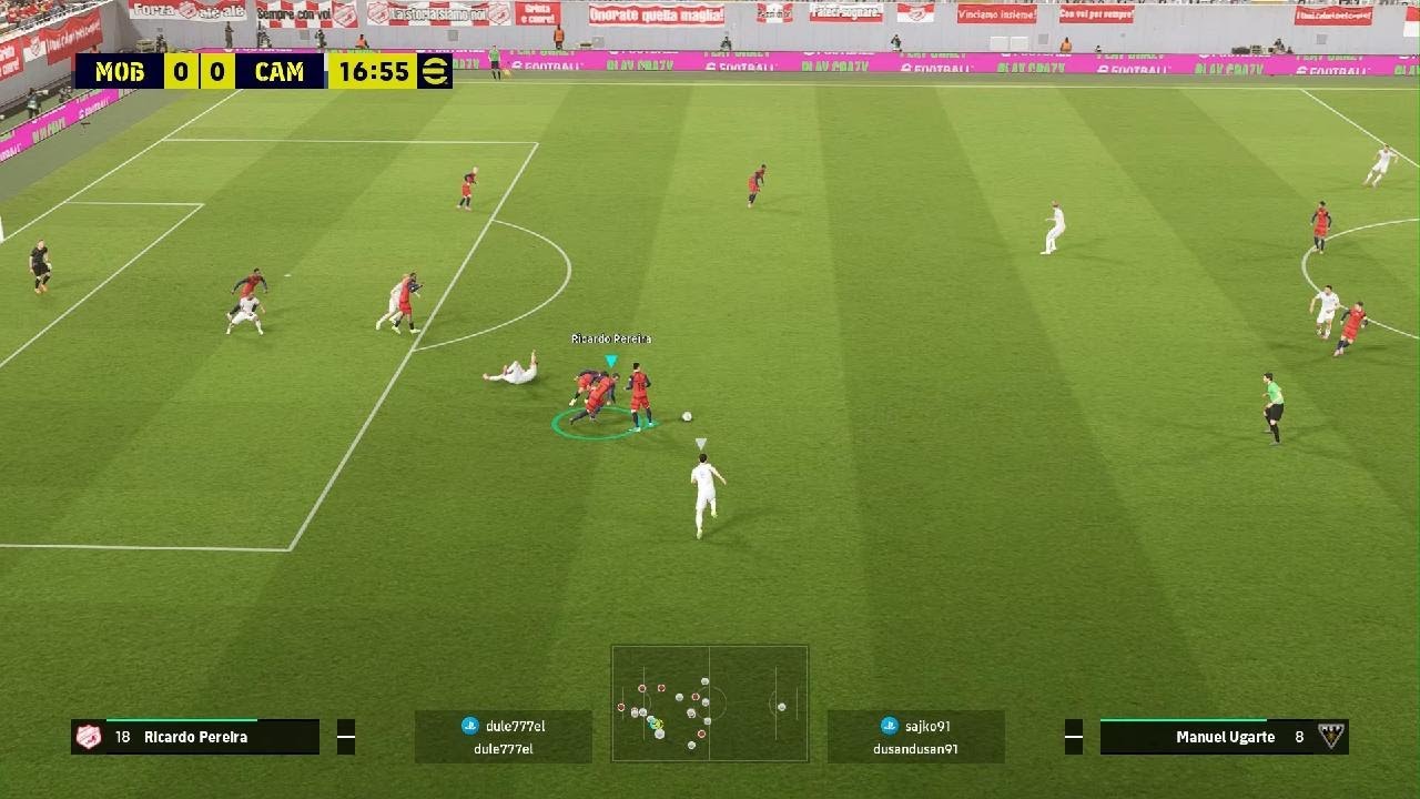 Vs Sajko bfl