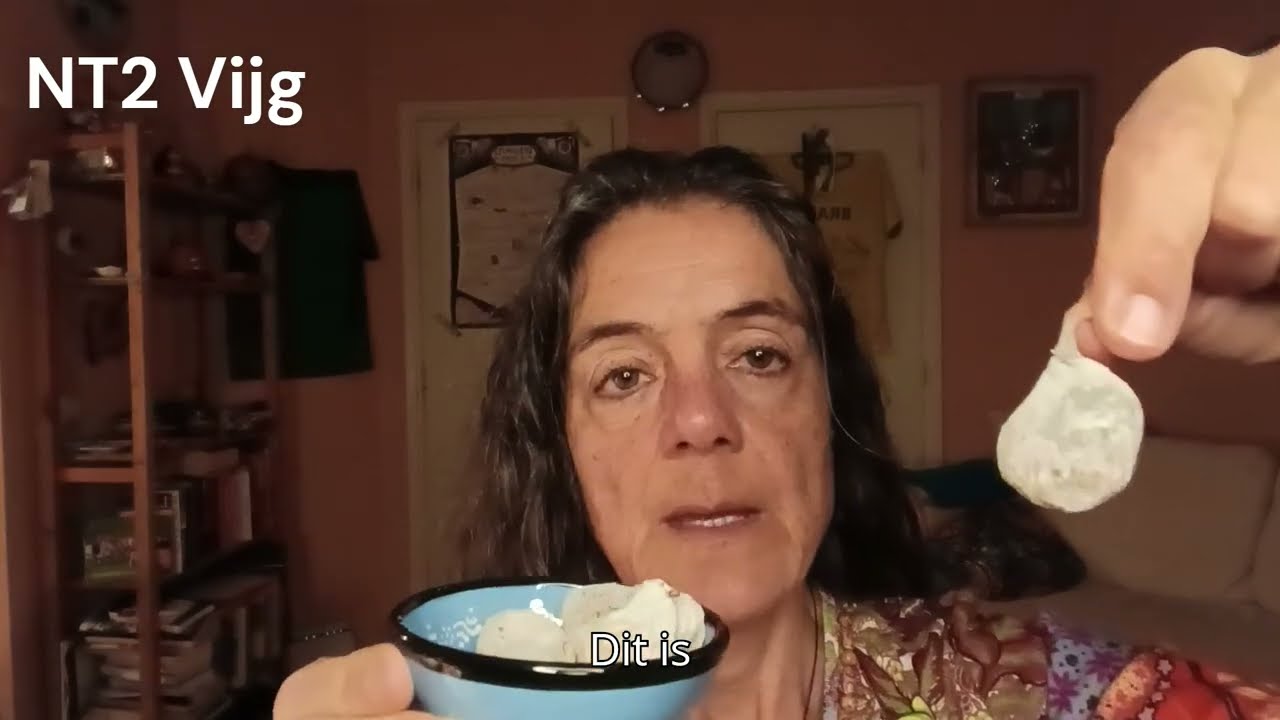 NT2 Vijg