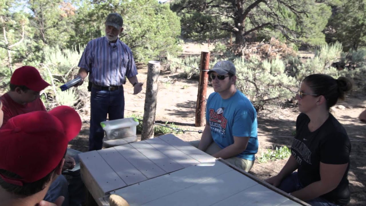 Turn-About Ranch Clinic