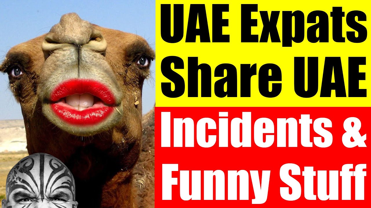 Video #3858 - UAE Expats Share UAE News, UAE Incidents & UAE Funny Moments