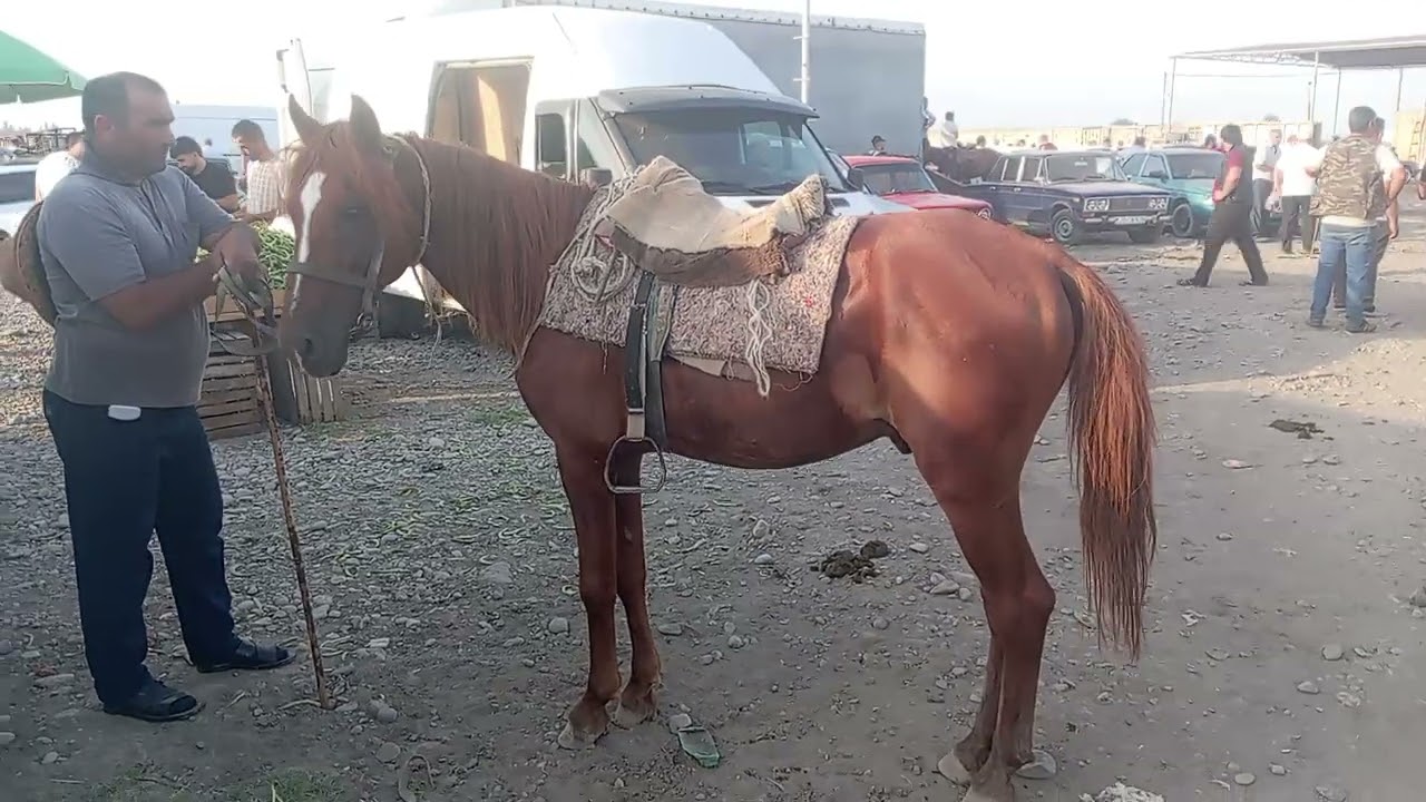 BERDE at bazarı 18.07.2025.050.571.71.57