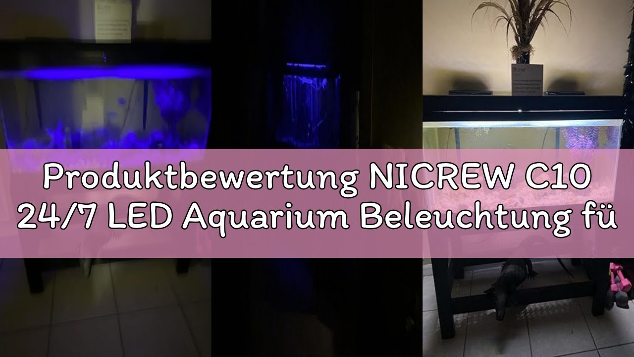 Produktbewertung NICREW C10 24/7 LED Aquarium Beleuchtung für Pflanzen, 28-42 cm, 10W, Vollspektrum