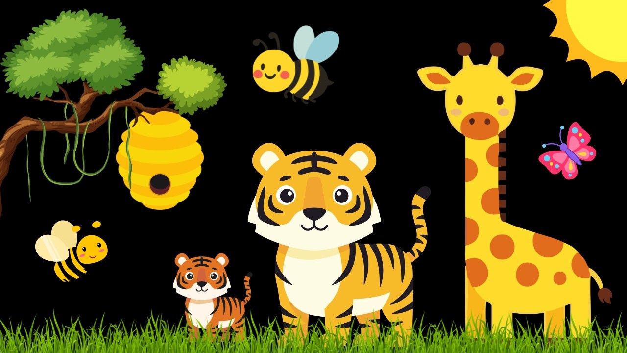 Baby Sensory Video - High contrast - Sensory Videos for Babies - Visual Stimulation for Newborn