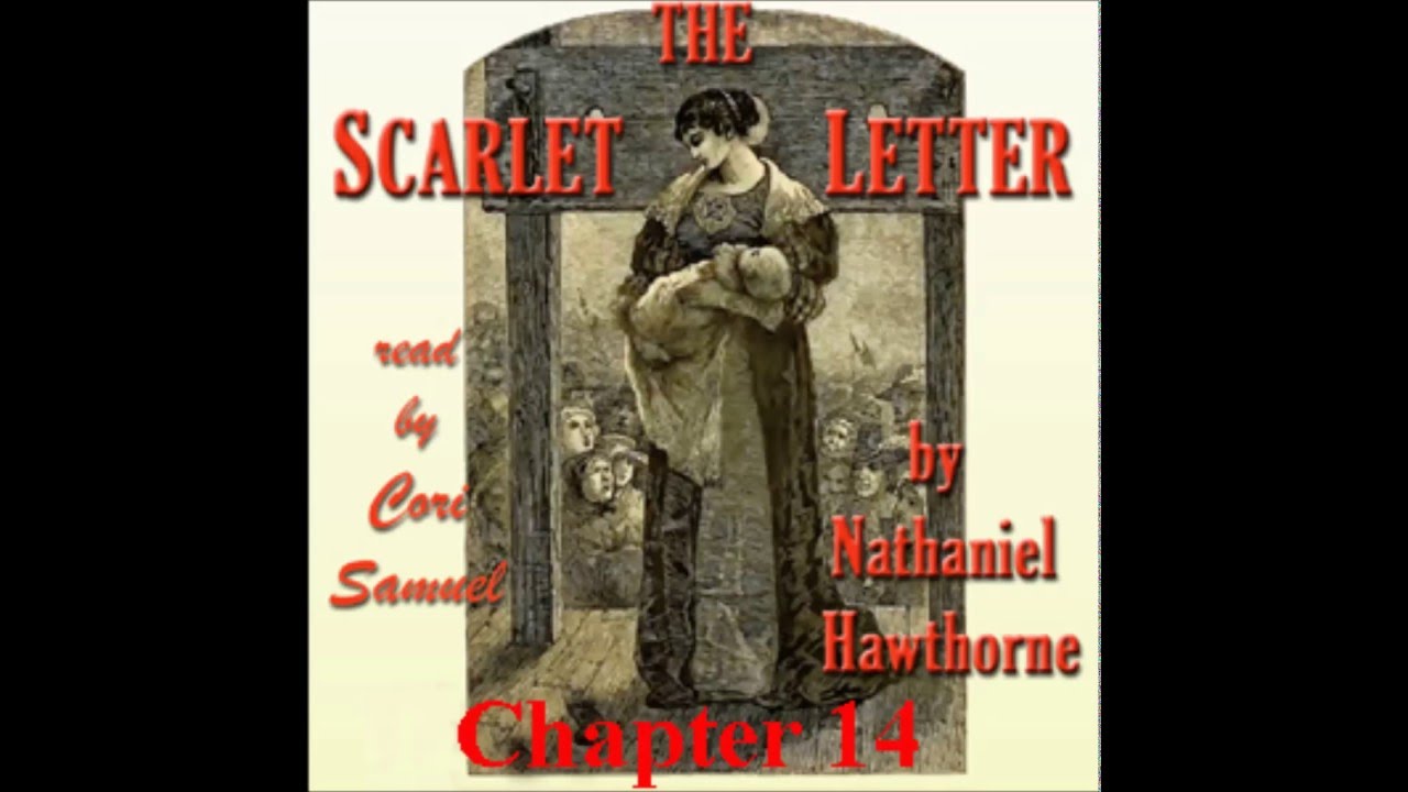 The Scarlet Letter by Nathaniel Hawthorne Chapter 14 - Hester and the Physician