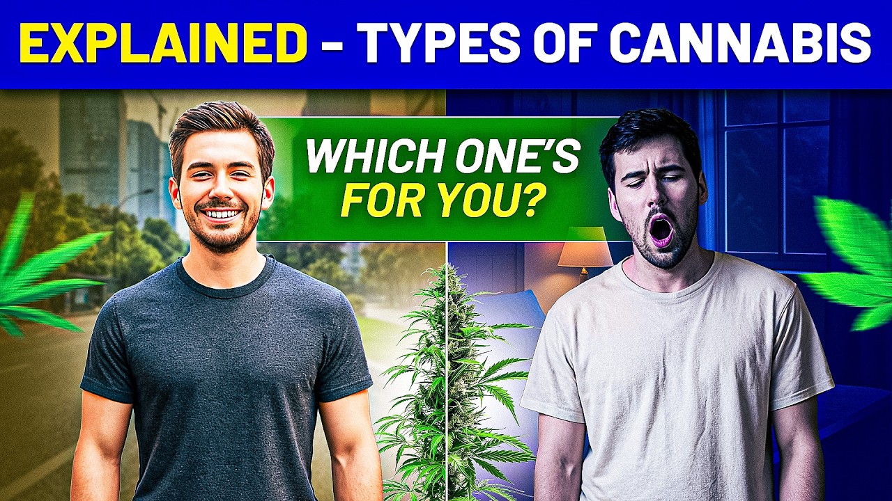 Not All Greens Are the Same! Sativa, Indica & Hybrid Explained