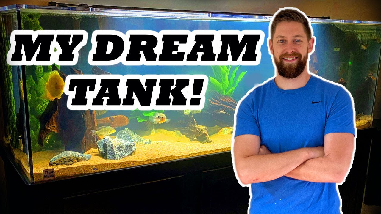 180 Gallon Acrylic Aquarium | South American Cichlid Tank