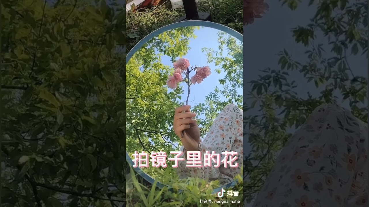 Douyin: Chụp Ảnh Bằng Điện Thoại - Dáng Pose Với Hoa 🌼