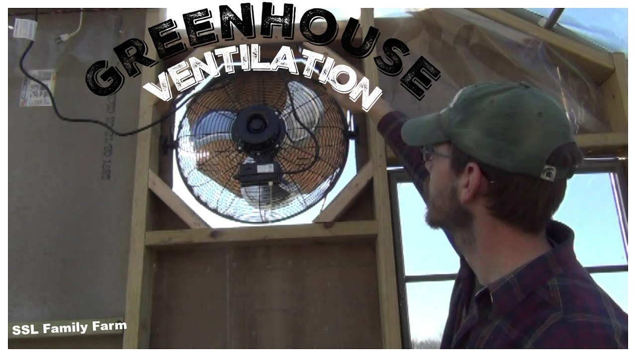 Greenhouse Ventilation with NewAir Shop Fans