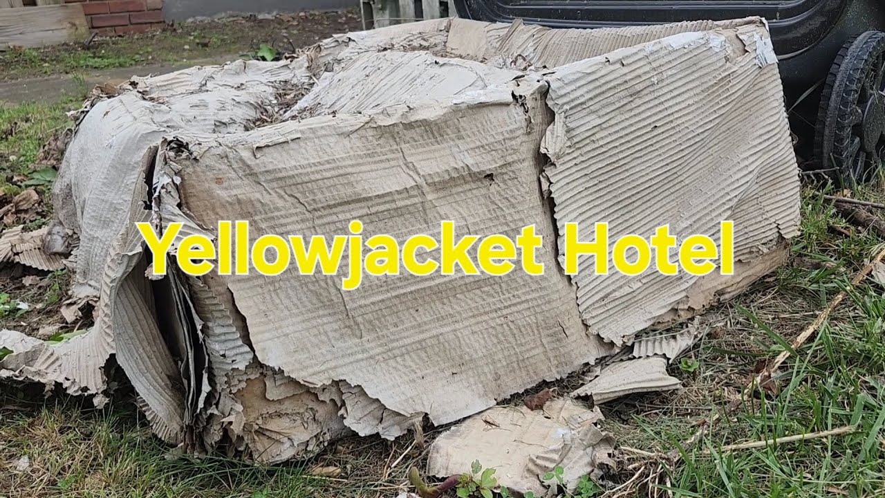 Yellowjacket Hotel