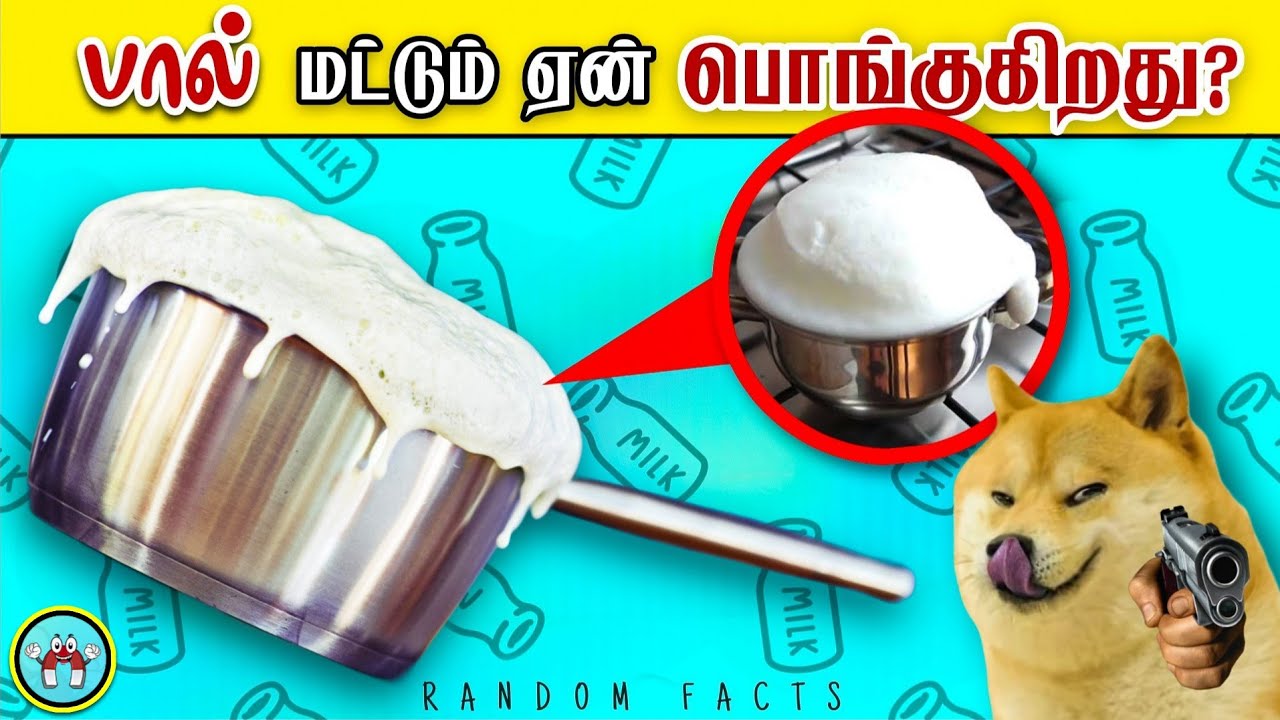 Mind Blowing Facts You should Know (தமிழ்) | Pt.3 | The Magnet Facts