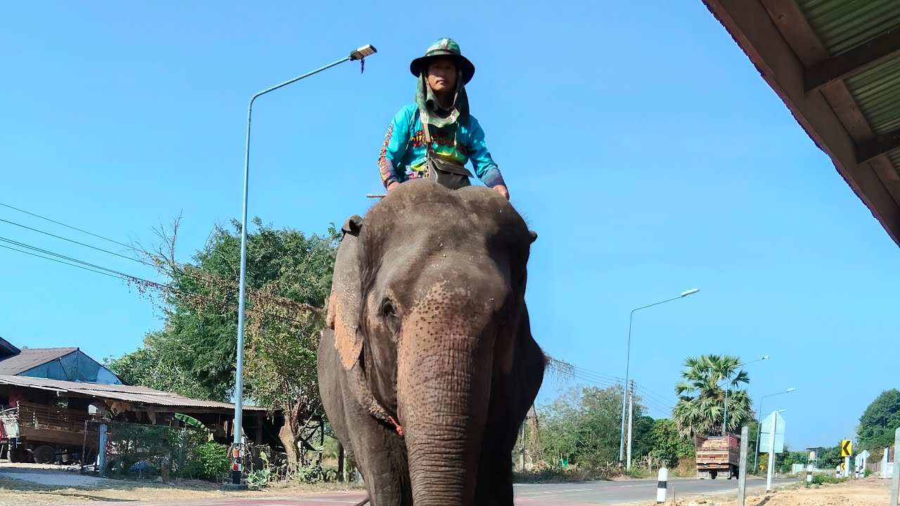 ศรีนวลพาทัวร์จ้า