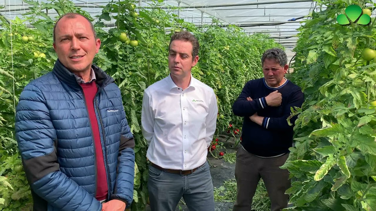 Corretta gestione degli impianti di fertirrigazione