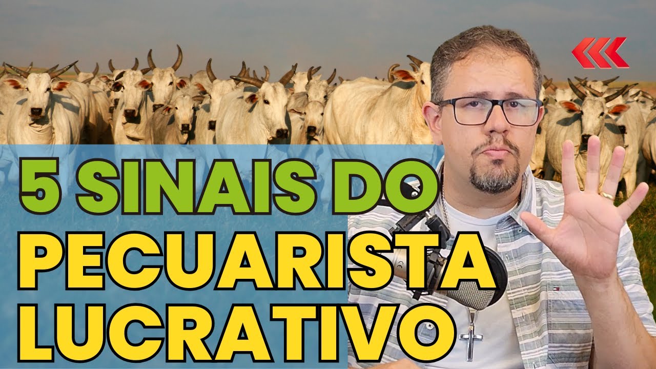 5 Características de um pecuarista REALMENTE LUCRATIVO?