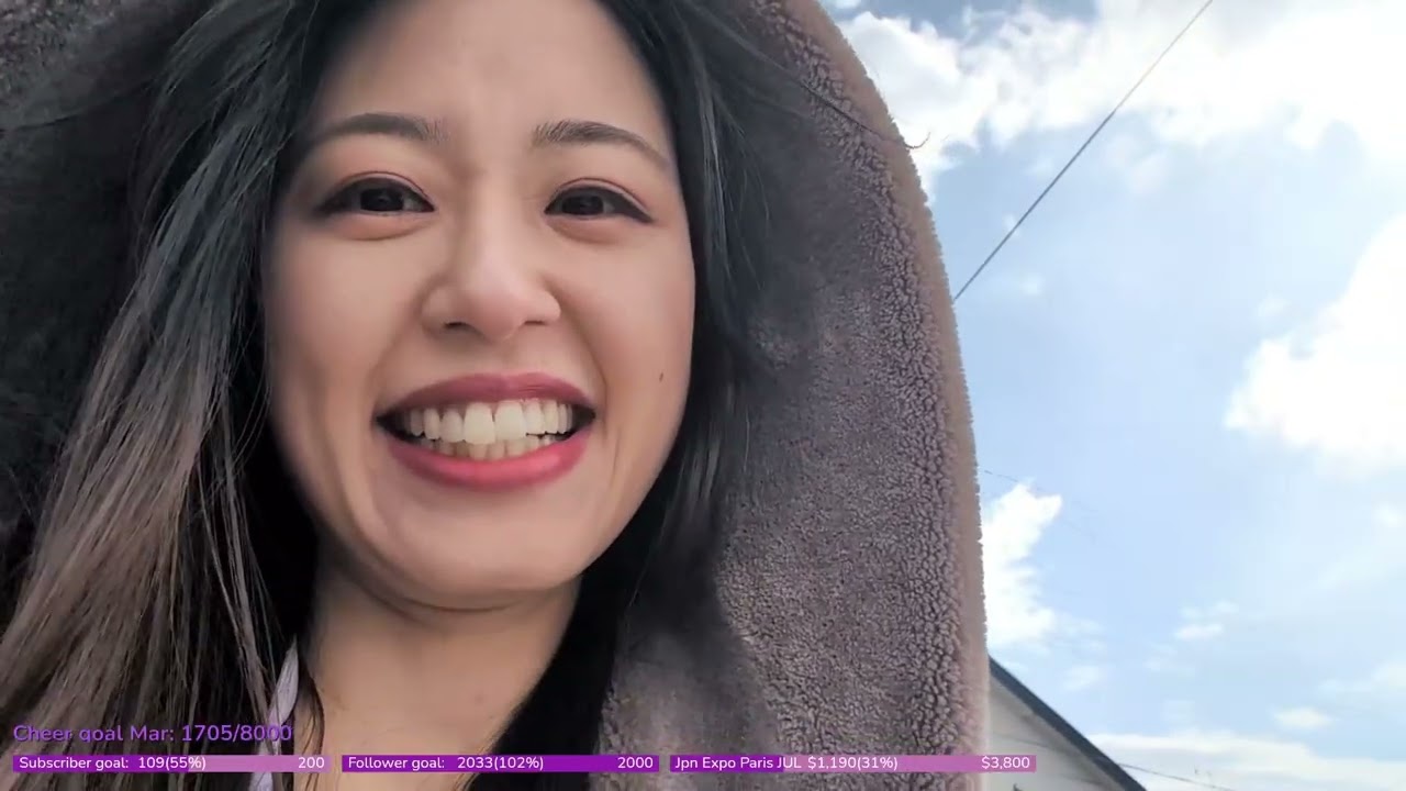 VLOG 2