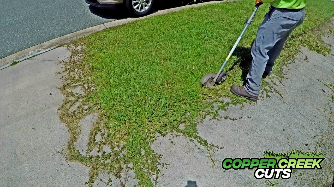 $30 Mow Made Me $28,812.91(READ THE DESCRIPTION)