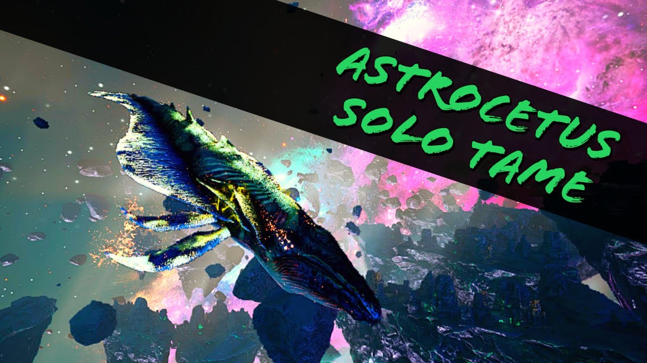 HOW TO SOLO TAME AN ASTROCETUS (SPACE WHALE)